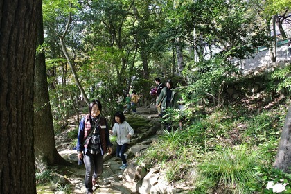 鶴形山の道