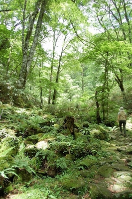 110729_140951.jpg