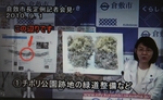 緑道_市長_800_.jpg