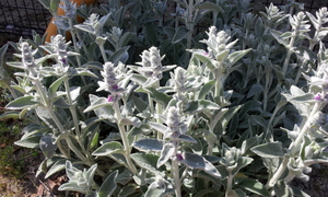 2012-05-12 14.37.36.jpg