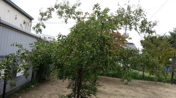 20150908_105317.jpg
